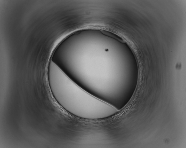 X0000100920960200806241110