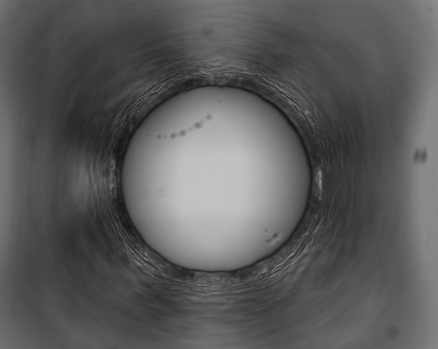 X0000100920963200806241109