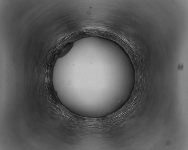 X0000100920965200806241109