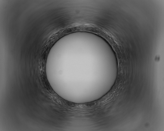 X0000100920966200806241109