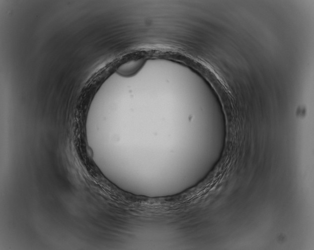 X0000100920967200806241109