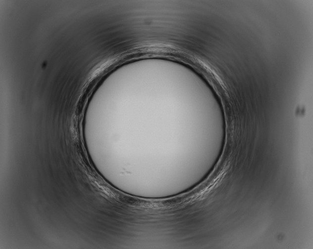 X0000100920970200806241109