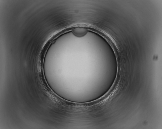 X0000100920973200806241109