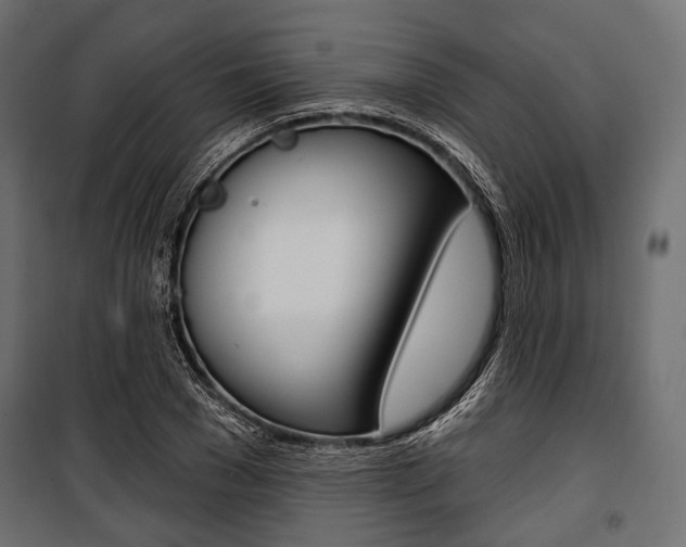 X0000100920977200806241109