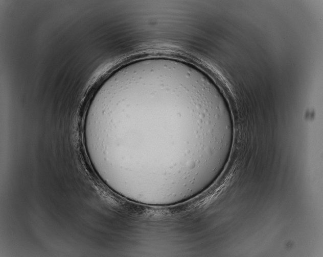 X0000100920978200806241109