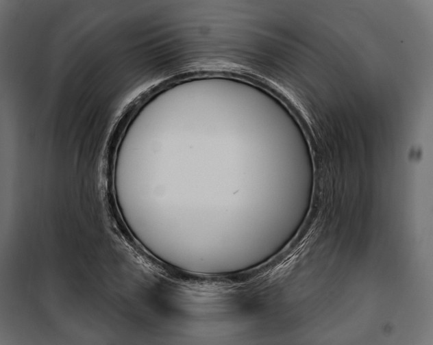X0000100920979200806241109
