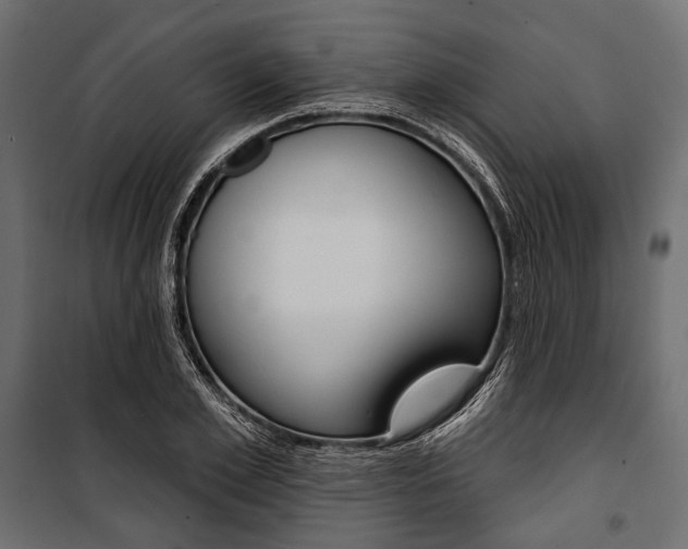 X0000100920981200806241109