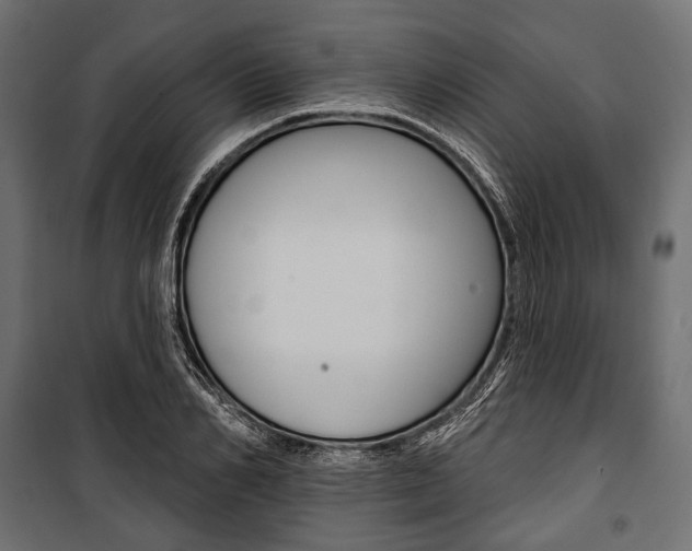X0000100920982200806241109