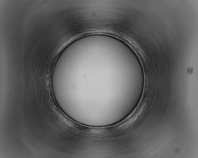 X0000100920985200806241109