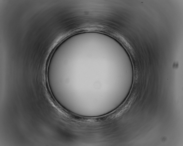 X0000100920986200806241109