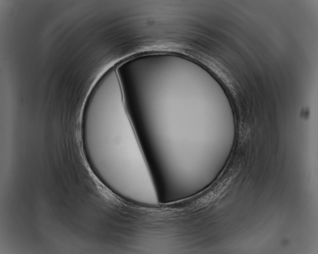 X0000100920988200806241109