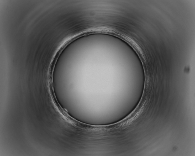 X0000100920989200806241109