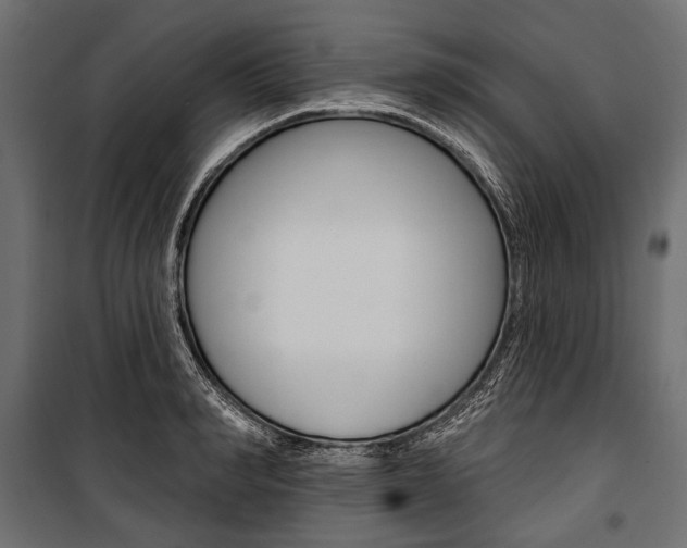 X0000100920990200806241109