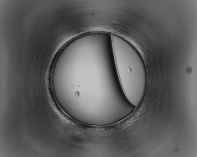 X0000100920991200806241109