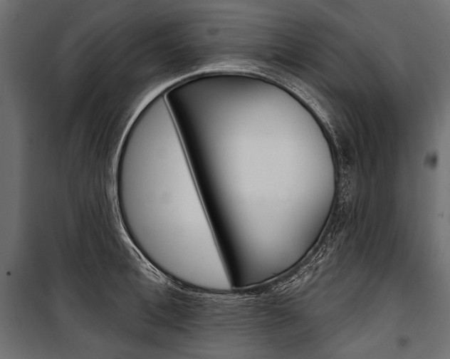 X0000100920996200806241109