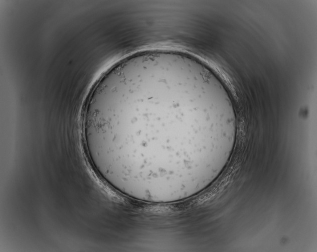 X0000100920998200806241109