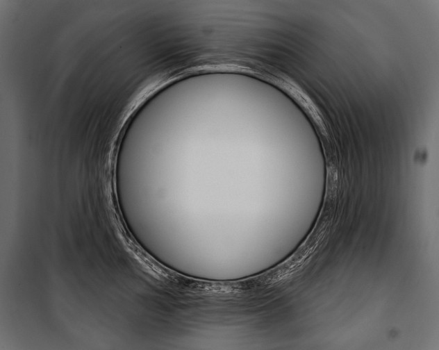 X0000100921002200806241109