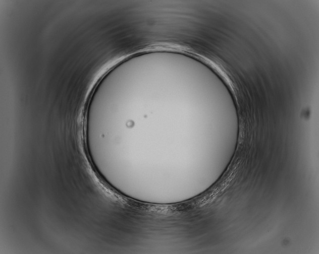 X0000100921003200806241109