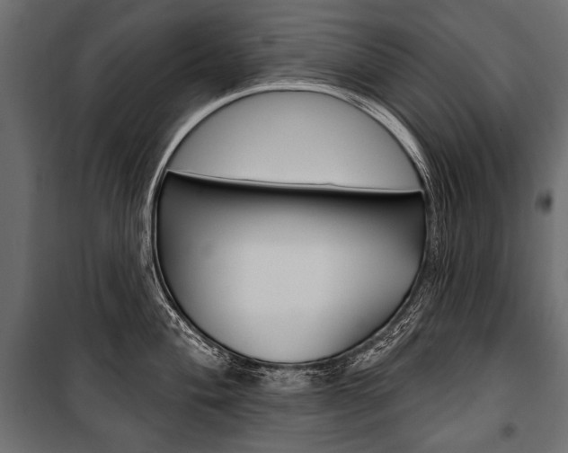 X0000100921004200806241109