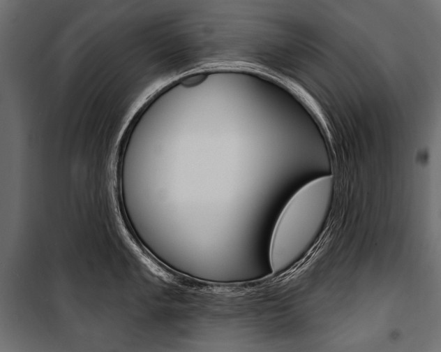 X0000100921005200806241109