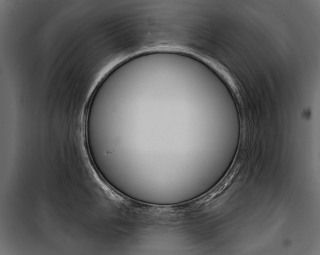 X0000100921006200806241109