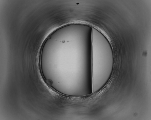 X0000100921007200806241109