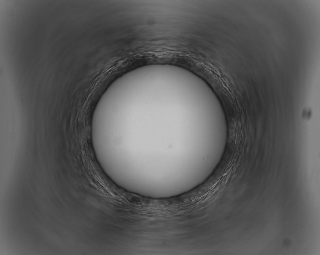 X0000100921009200806241108