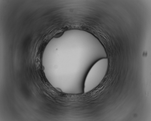 X0000100921011200806241108