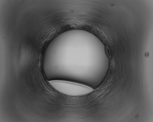X0000100921012200806241108