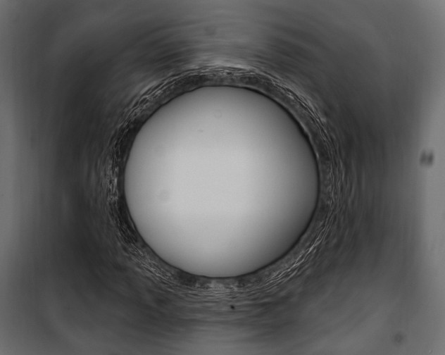 X0000100921013200806241108