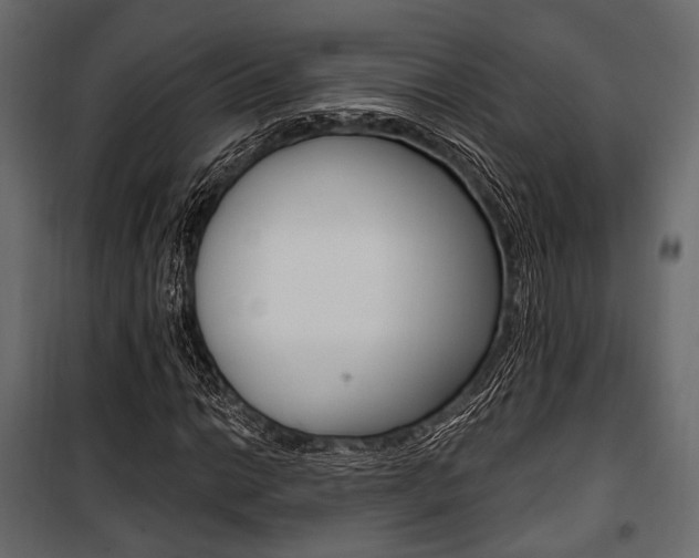 X0000100921014200806241108