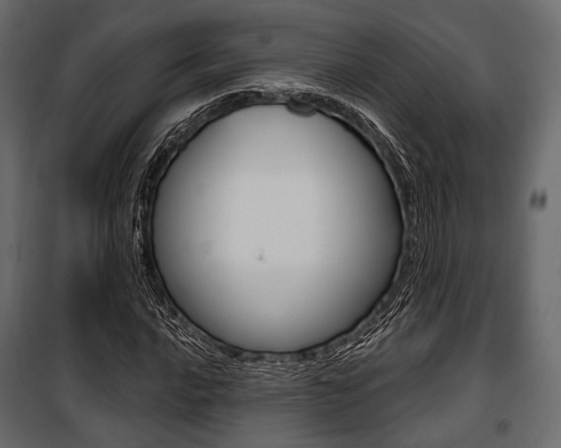 X0000100921016200806241108