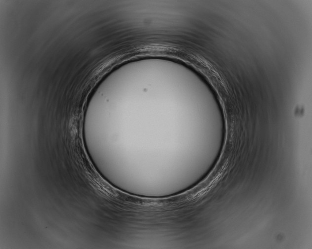 X0000100921017200806241108