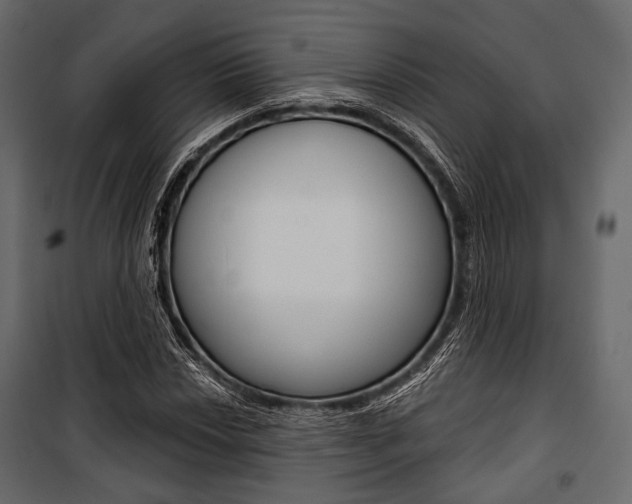 X0000100921018200806241108