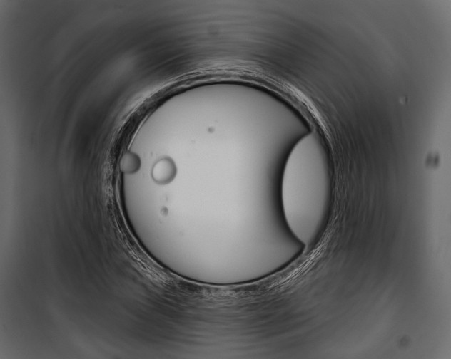 X0000100921019200806241108