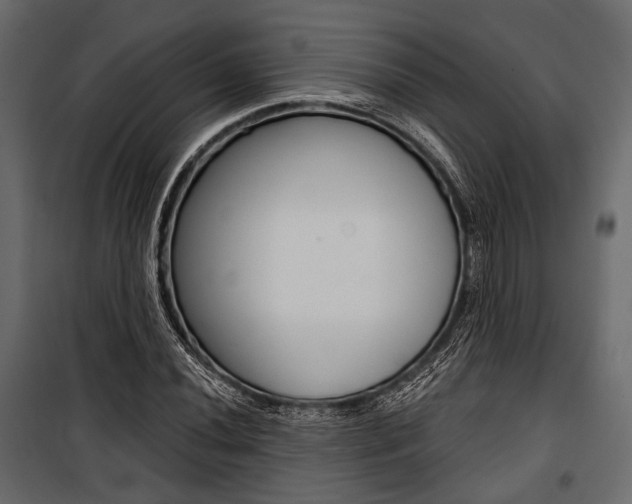 X0000100921020200806241108