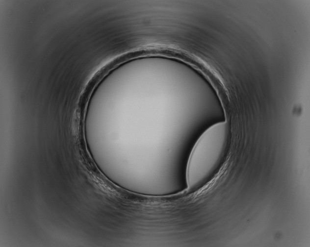 X0000100921021200806241108