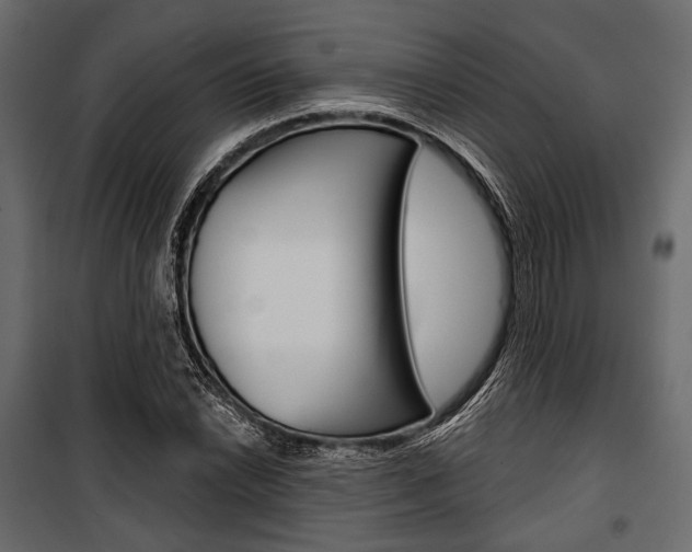 X0000100921022200806241108