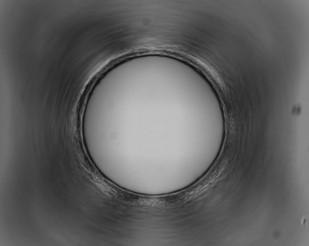 X0000100921023200806241108