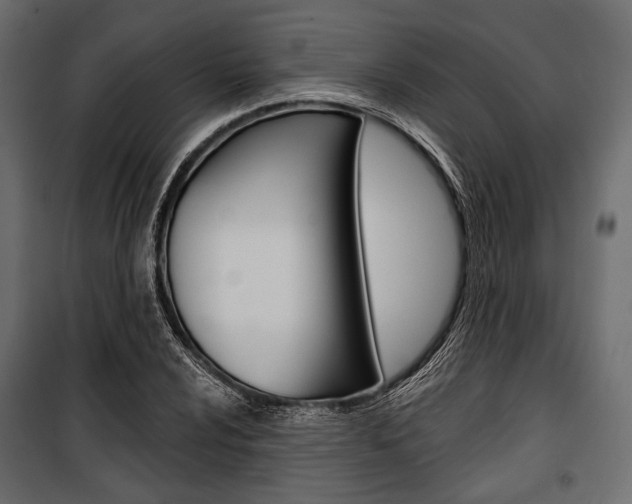 X0000100921024200806241108