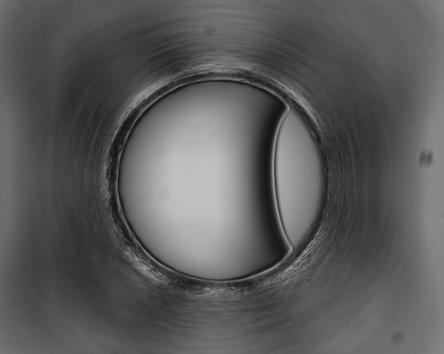 X0000100921026200806241108