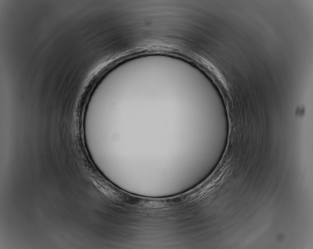 X0000100921027200806241108