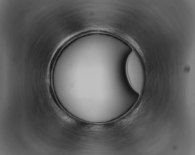 X0000100921028200806241108