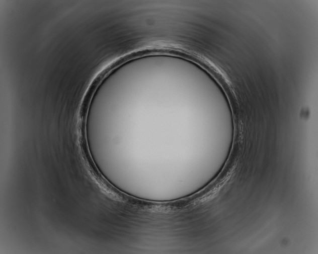 X0000100921029200806241108