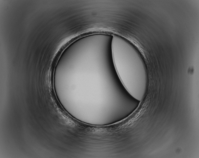 X0000100921030200806241108