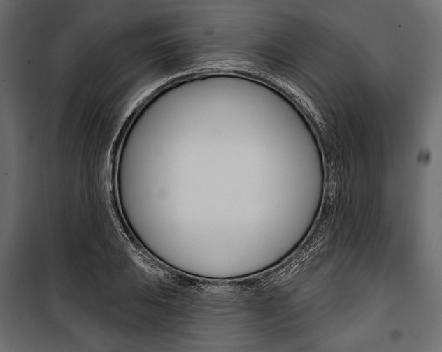 X0000100921031200806241108