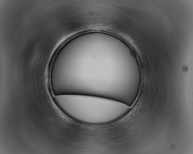 X0000100921032200806241108