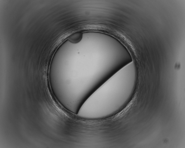 X0000100921033200806241108