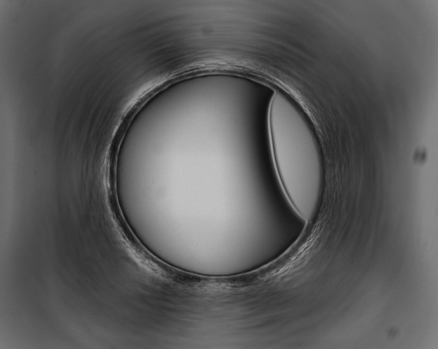 X0000100921034200806241108