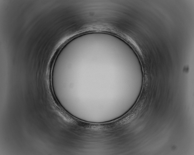 X0000100921035200806241108